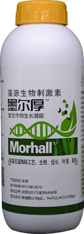 含腐植酸水溶肥料-墨爾厚（葉面肥）AN08